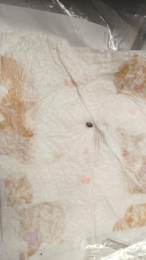 Jelly Donutz 🍩. Week 0 - Paper towel methode until I see it's alive.