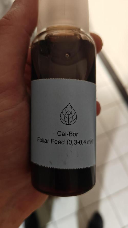 Blue Zushi 🍣 x Raspberry Parfait 🍓. Week 3 - Foliage feeding cal-bor, increases cal uptake.