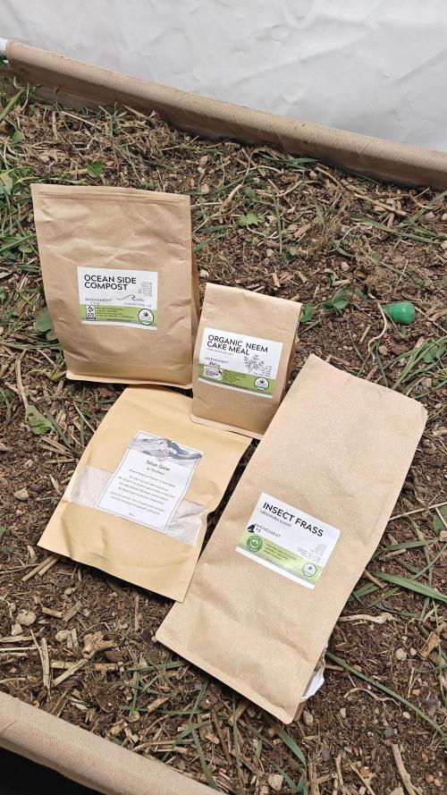 Orange Bud 🍊. Week 15