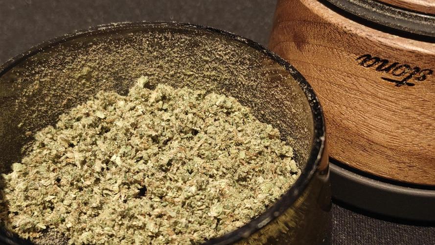 Orange Bud 🍊. Week 16