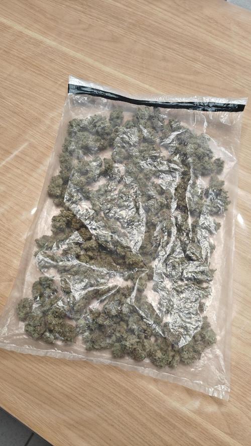 Orange Bud 🍊. Week 16