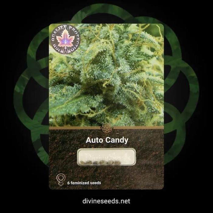 Auto Candy the 2nd try 🍭. Week 10