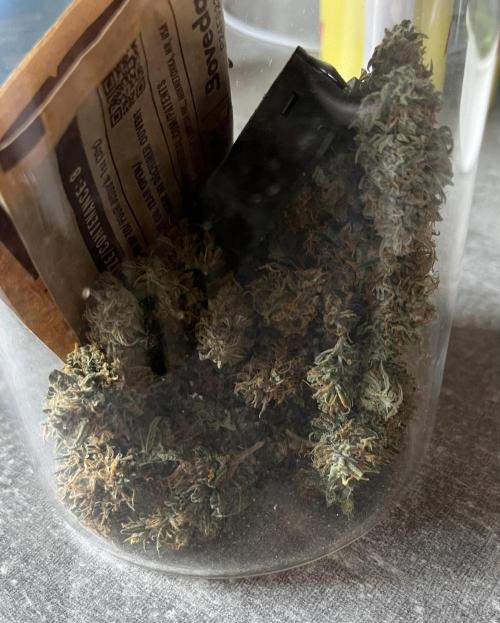 Gorilla Zkittlez Autoflower. Week 10