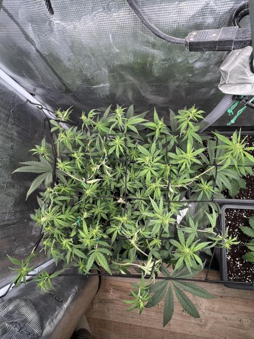 🌱 A Surprise from the Past. Week 6
