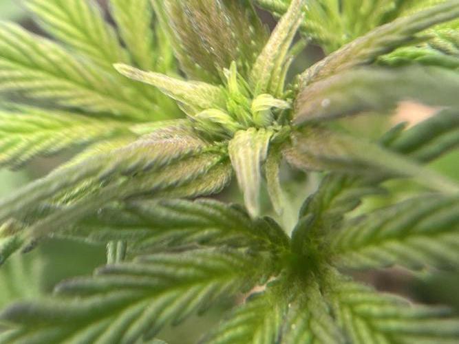 🌱 A Surprise from the Past. Week 3