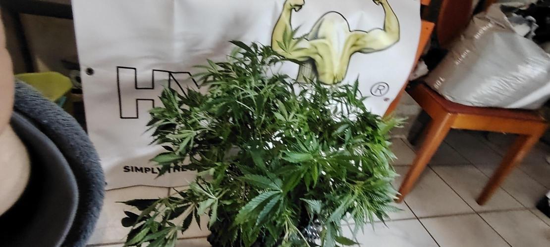 Rainbow Melon *-*. Week 9