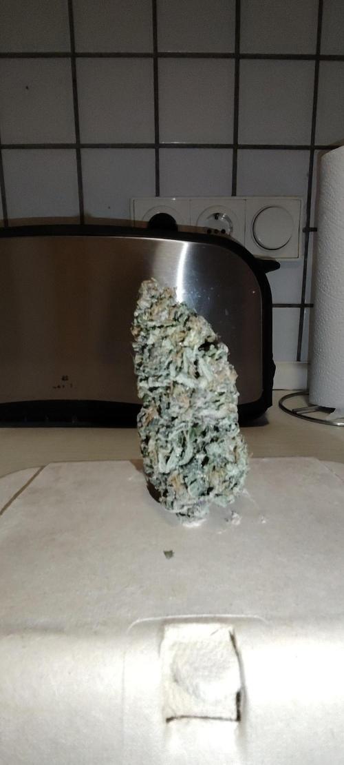 Sweet Mandarine skittlez. Week 16