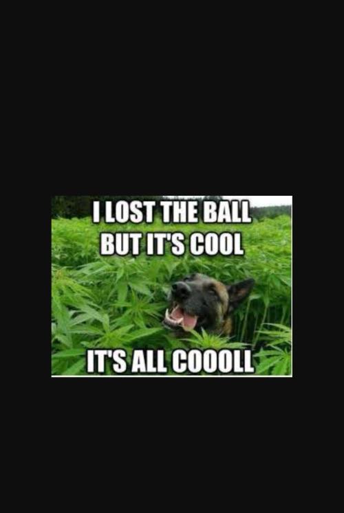 Best of meme. Week 1