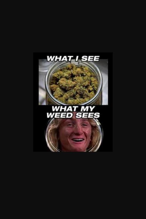 Best of meme. Week 1