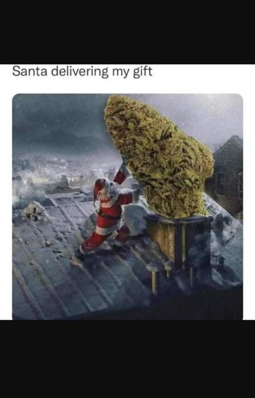 Best of meme. Week 1