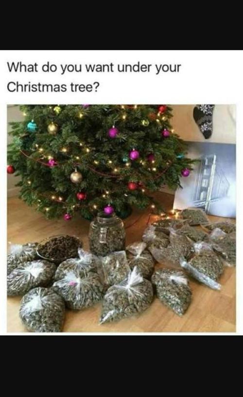 Best of meme. Week 1