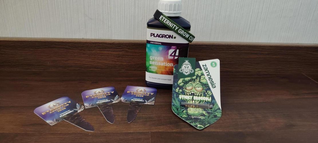 Eternity Grow Cup 2026 Sticky Broccoli. Week 0