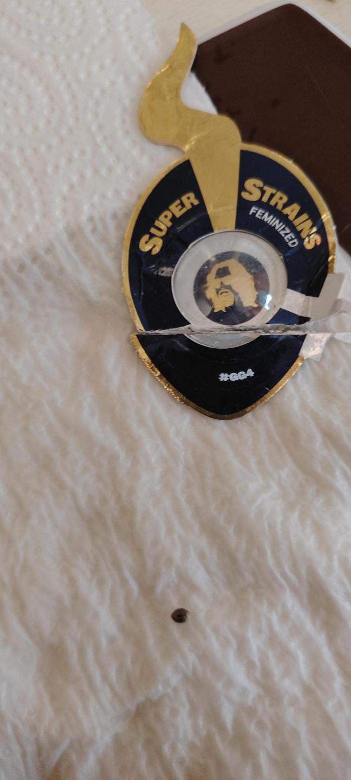 Super Strains Seeds. Week 0