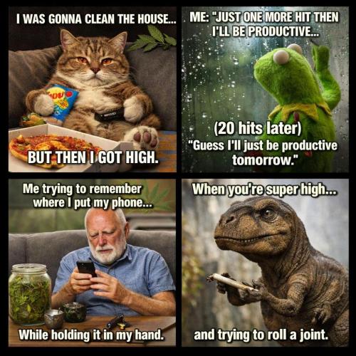 Best of meme. Week 1