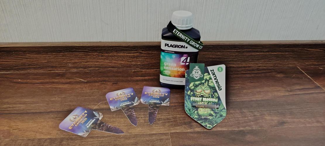 Eternity Grow Cup 2026 Sticky Broccoli. Week 0