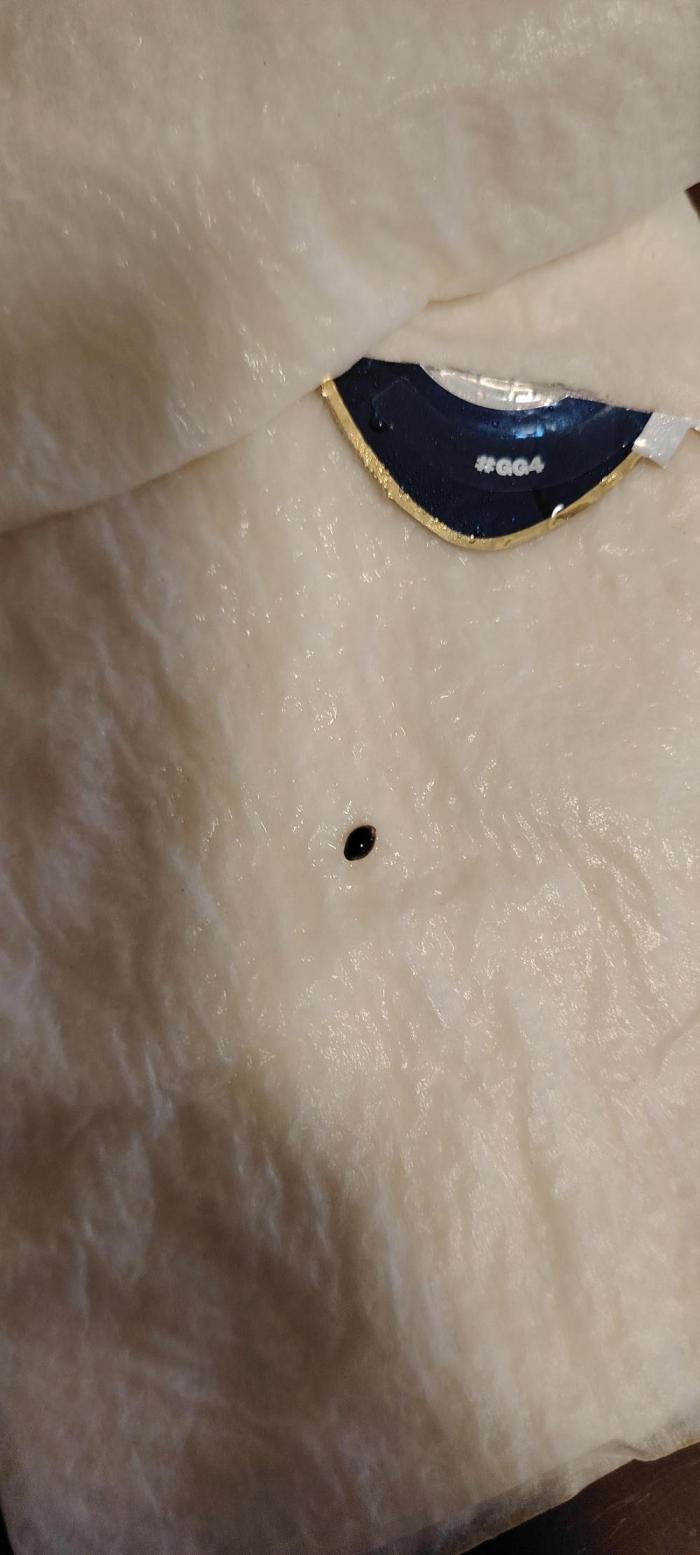 Super Strains Seeds. Week 1