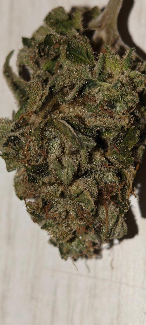 The sweet candy one. Week 12