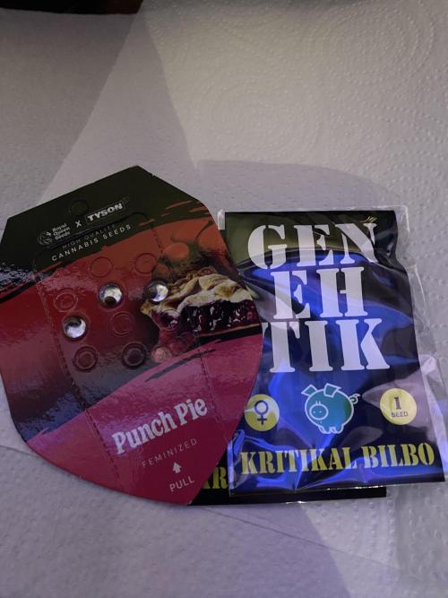 Punch Pie - Kritikal Bilbo. Week 0
