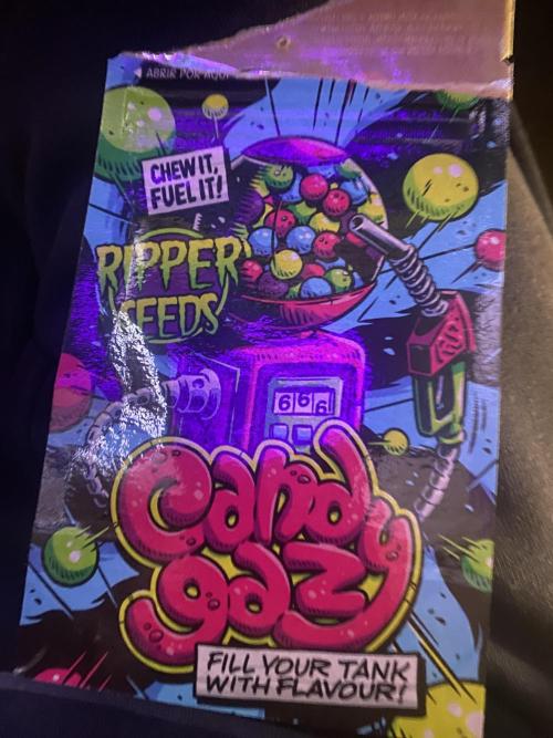 Punch Pie - Kritikal Bilbo - Candygaz. Week 2 - x1