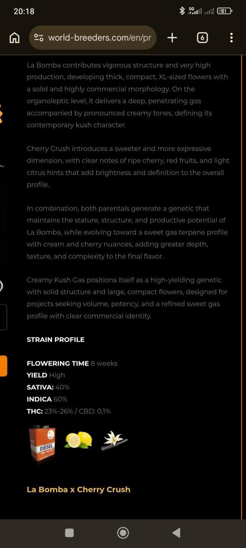 WORLD BREED + CLONE. Week 0