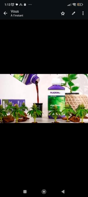 Comment by HunterXBE82 photo #1