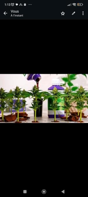 Comment by HunterXBE82 photo #1