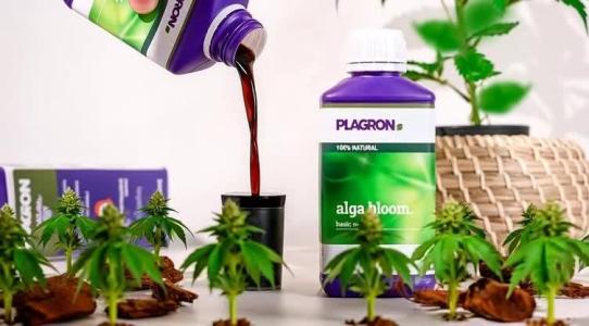 Comment by HunterXBE82 photo #1