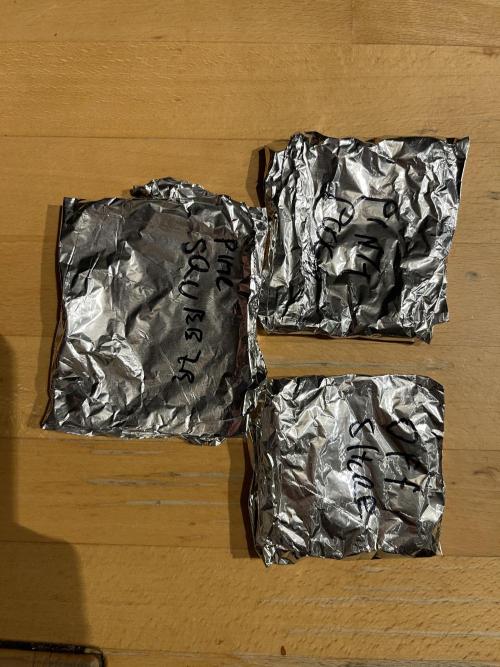 Grounded Genetics Run. Week 0 - 26.01
Wet Papertowel inside tinfoil stuck somewhere dark with room temp.