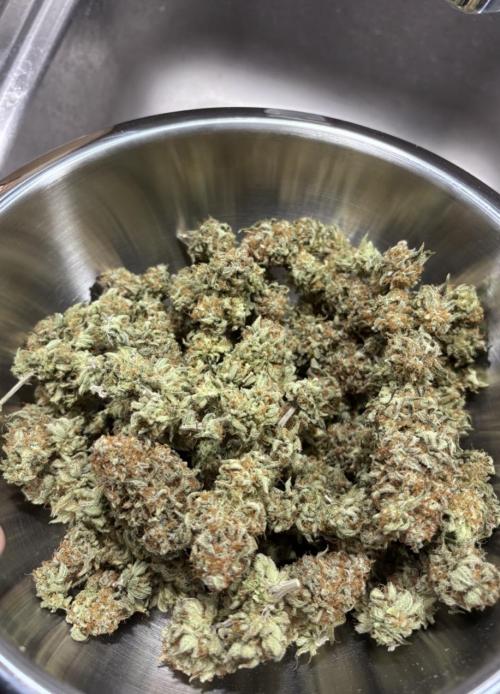 Special Queen. Week 17