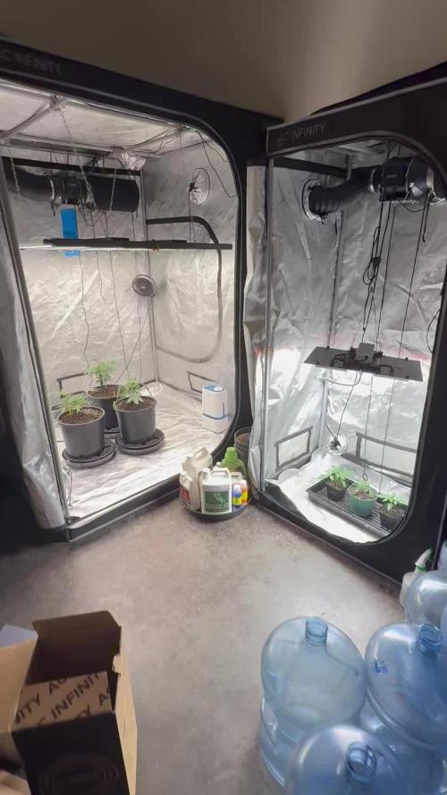 My 5x5 setup grow