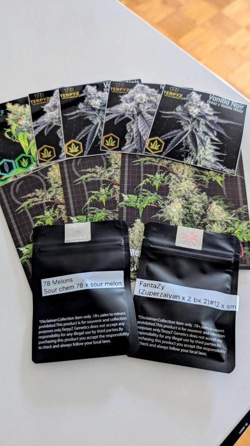 78 Melons & FantaZy. Week 0 - I'm testing unreleased genetics from www.terpyz.eu Enjoy the journey!