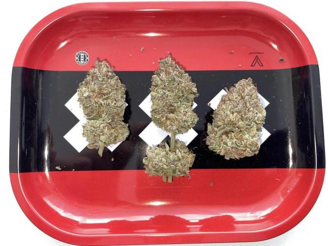 Hollow Technique Purpel. Week 13