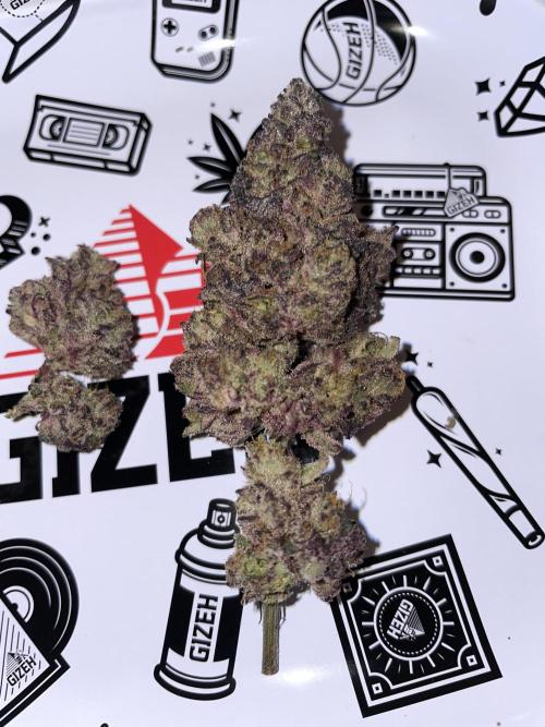 4-1=Threesome Grow #2. Week 12