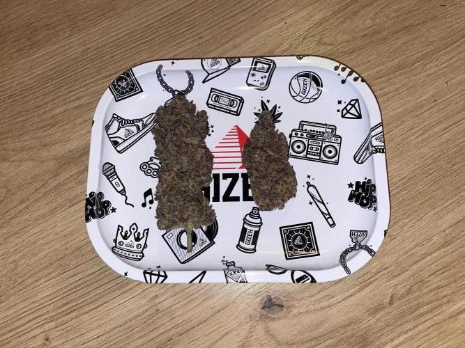 4-1=Threesome Grow #2. Week 12