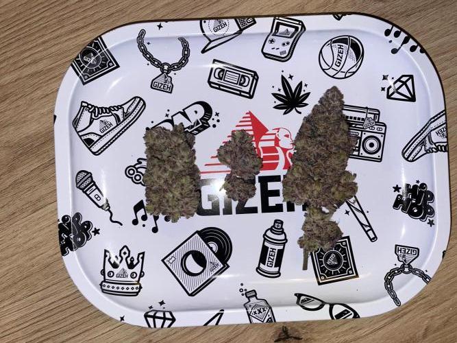 4-1=Threesome Grow #2. Week 12