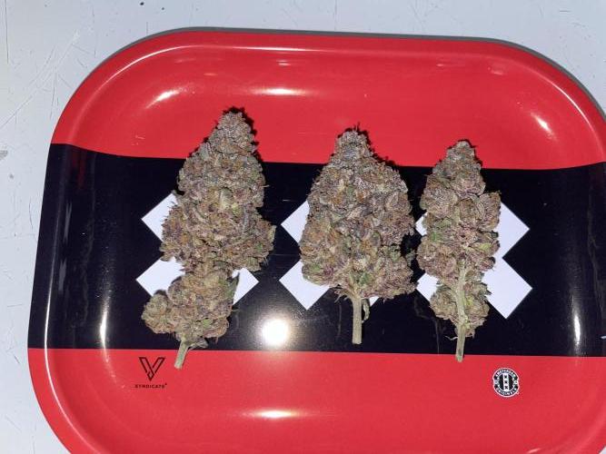 Hollow Technique Purpel. Week 13