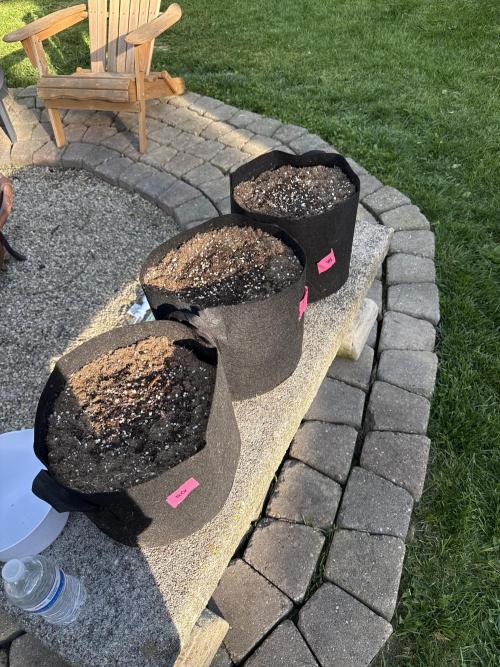 Summer 2026 Grow. Week 0