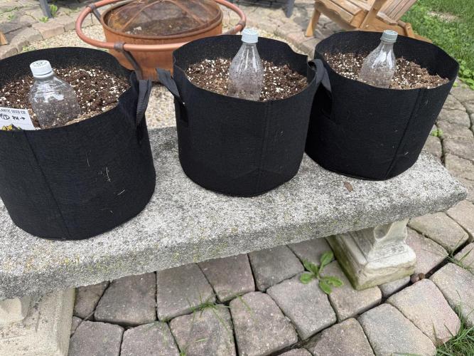 2026 Grow. Week 0