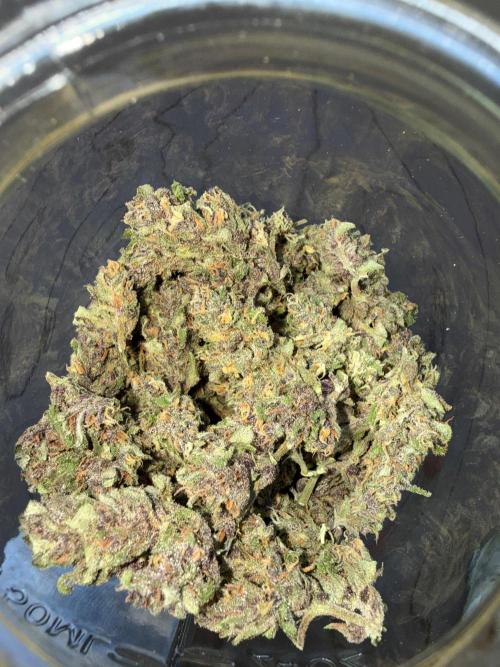 2026 Grow. Week 11