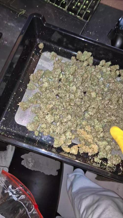 Defoliation Only RQS Autos