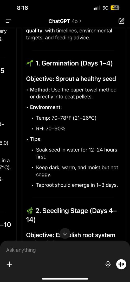 Blueberry auto Fast Buds. Week 0