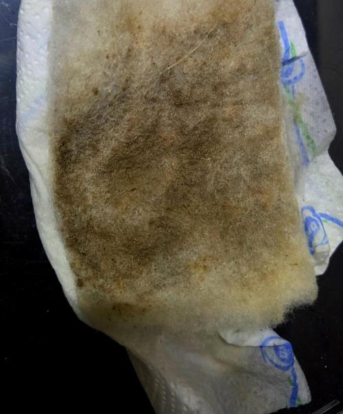 Humboldt DIY DWC. Week 4 - Filter residue from mineral and bio activity =)