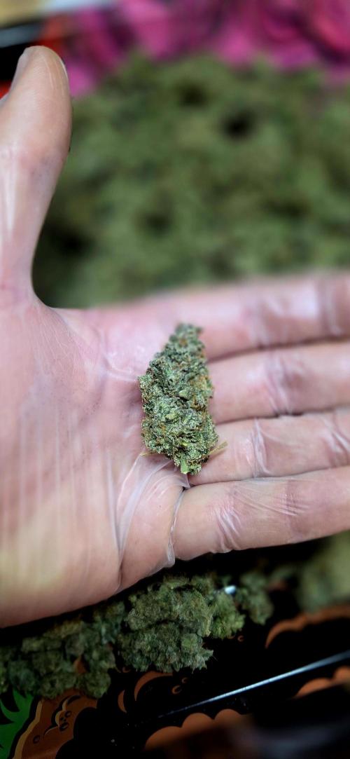 Humboldt DIY DWC. Week 16