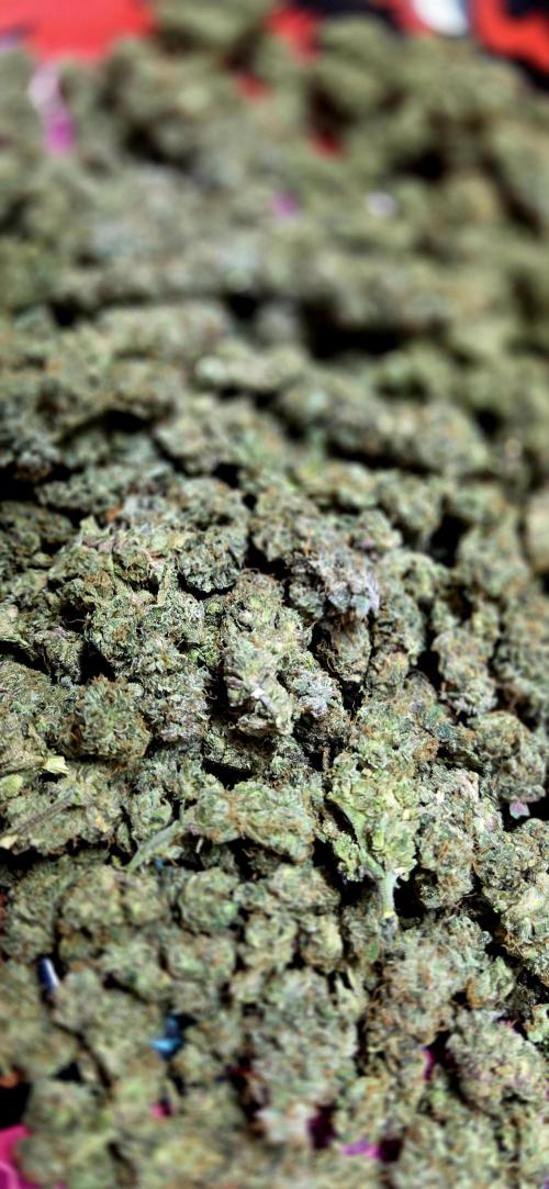 Humboldt DIY DWC. Week 16