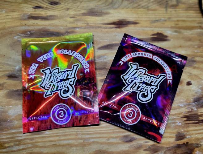 Wizard Trees DIY DWC. Week 0 - Genetics =)