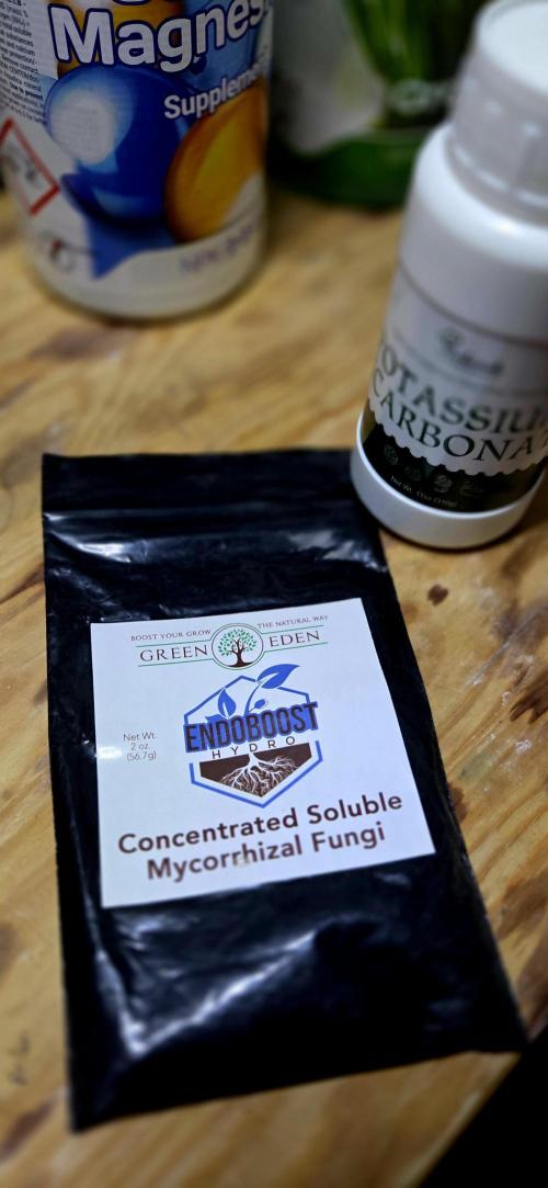 Wizard Trees DIY DWC. Week 1 - Fungi =)