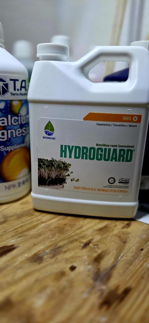 Wizard Trees DIY DWC. Week 1 - Hydroguard =)