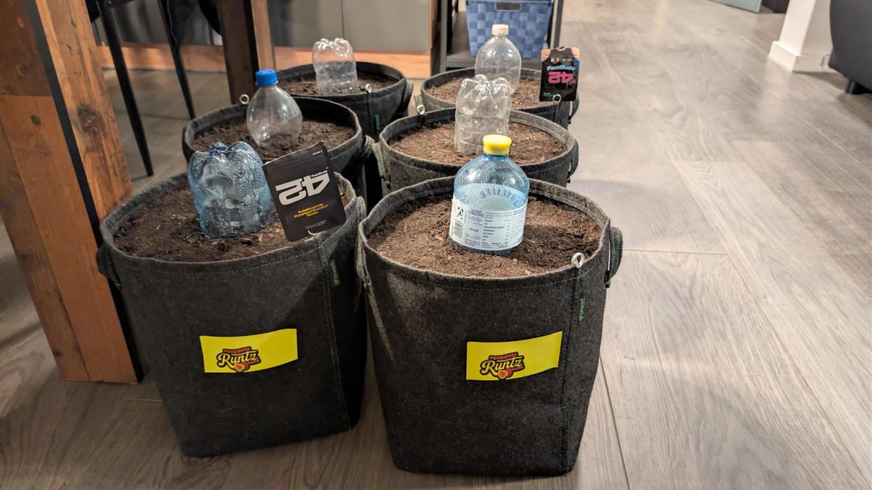 Last Auto Run. Week 0