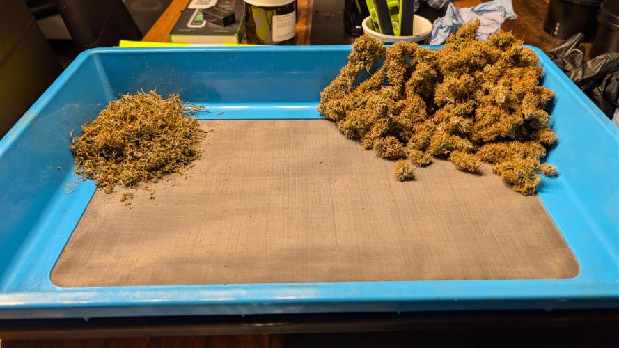 Fastbuds Collabo Run. Week 10