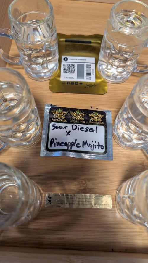 Cup Winning Strains 2026. Week 0